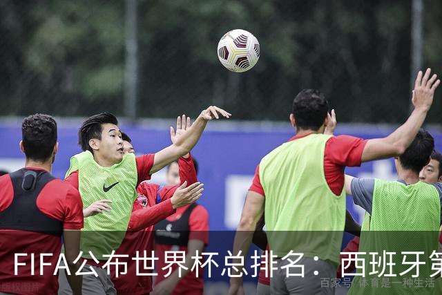 FIFA公布世界杯总排名：西班牙第1，巴西第11，荷兰、德国第17、18